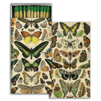 matches image 5