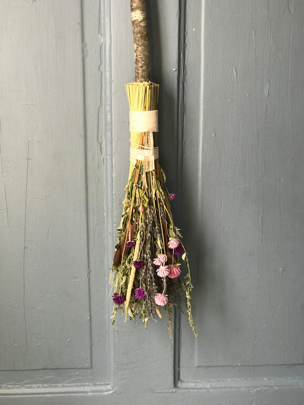 everlasting botanical broom | commission image 9