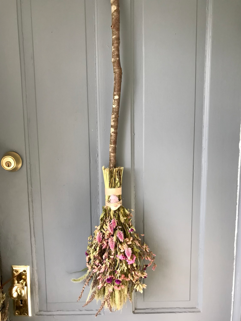 everlasting botanical broom | commission image 0