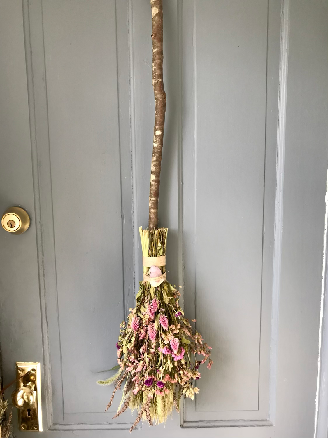 everlasting botanical broom | commission image 0