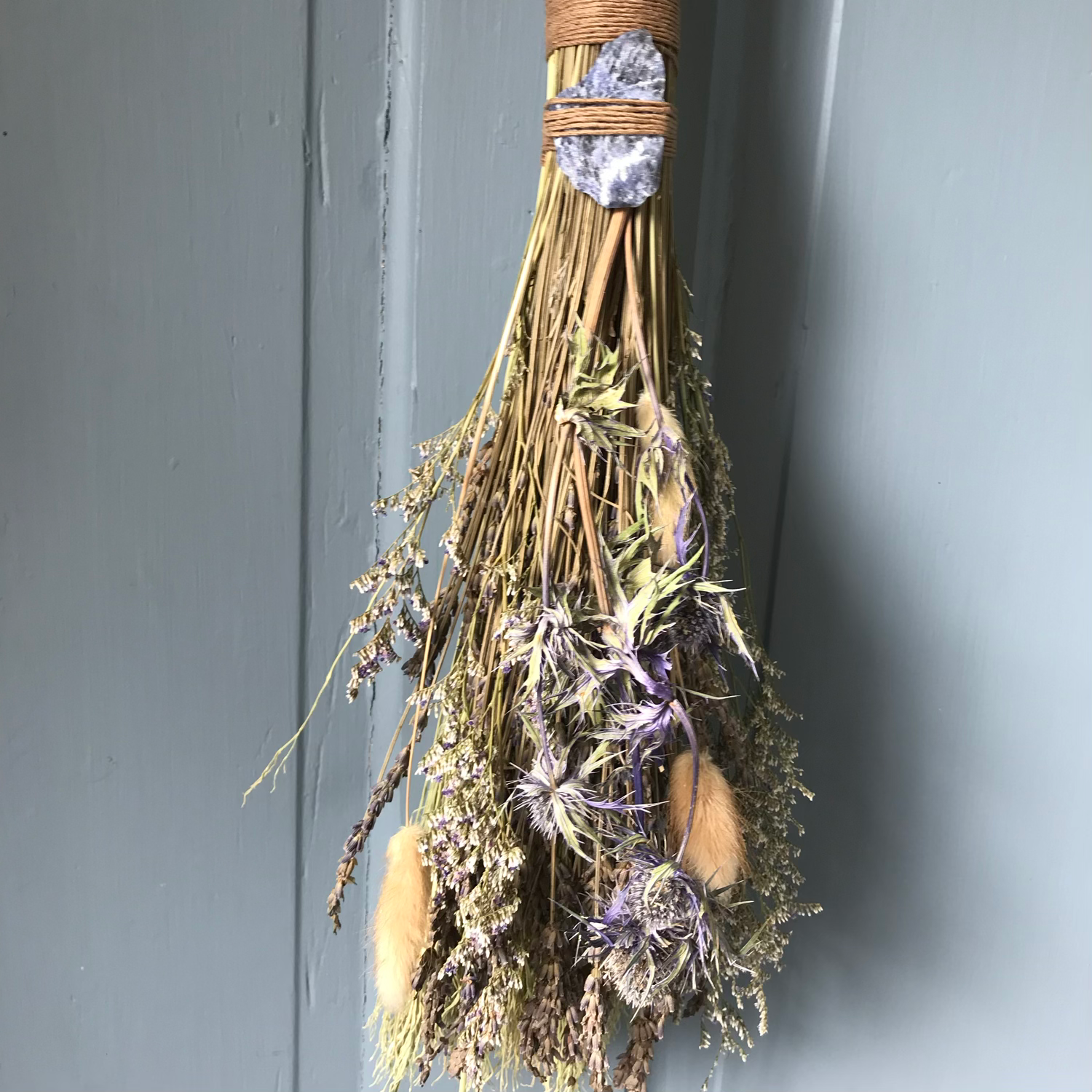 everlasting botanical broom | commission image 5