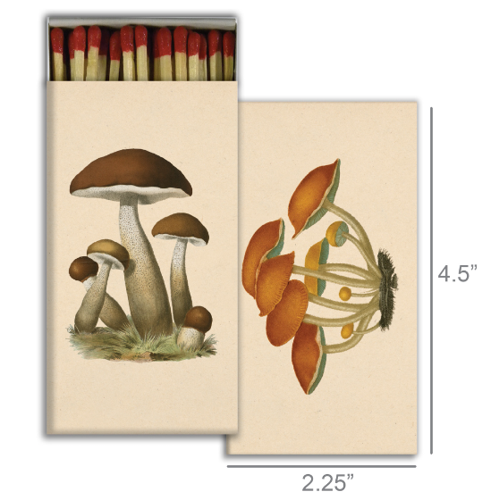 matches image 10