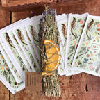 lavender + rosemary image 3