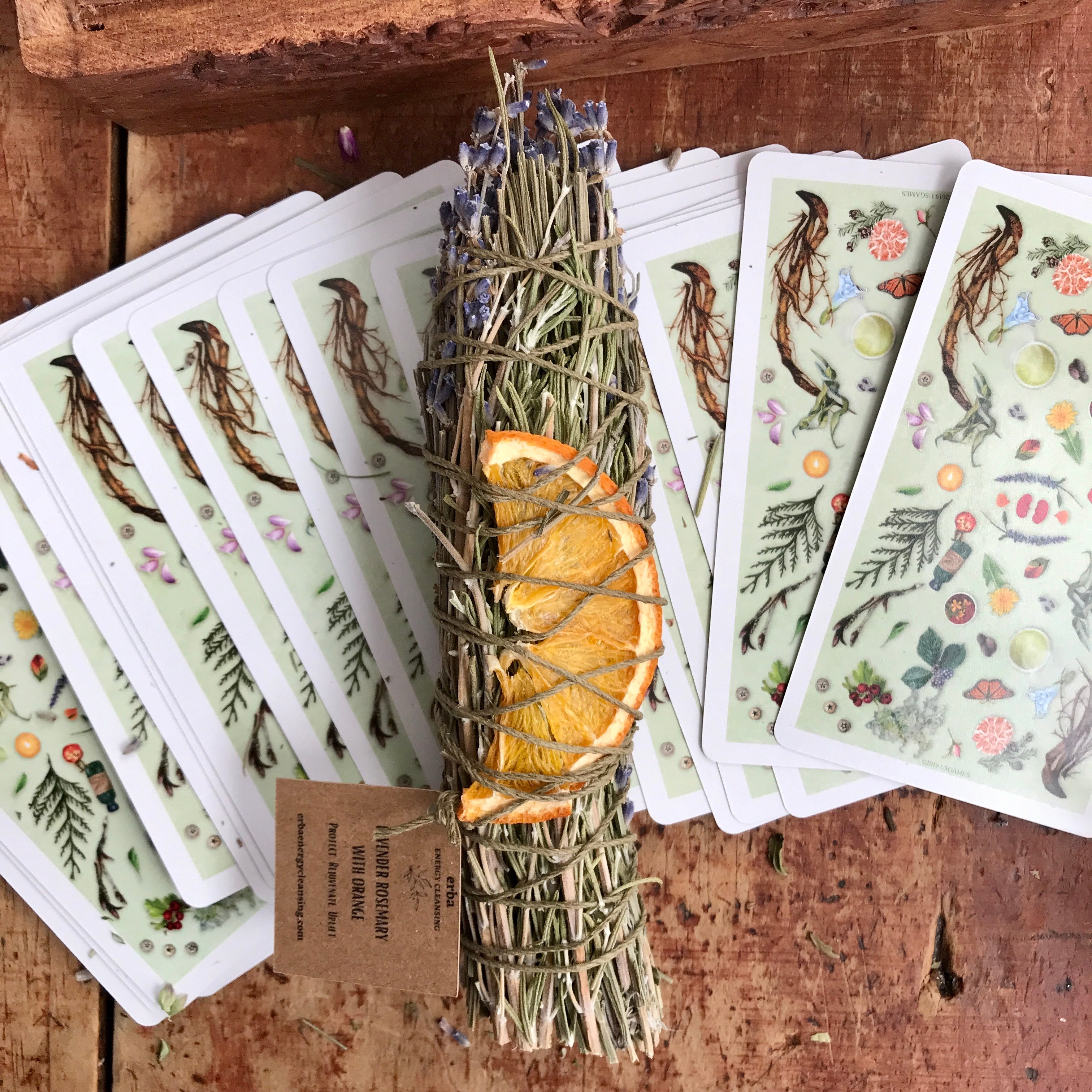 lavender + rosemary image 3