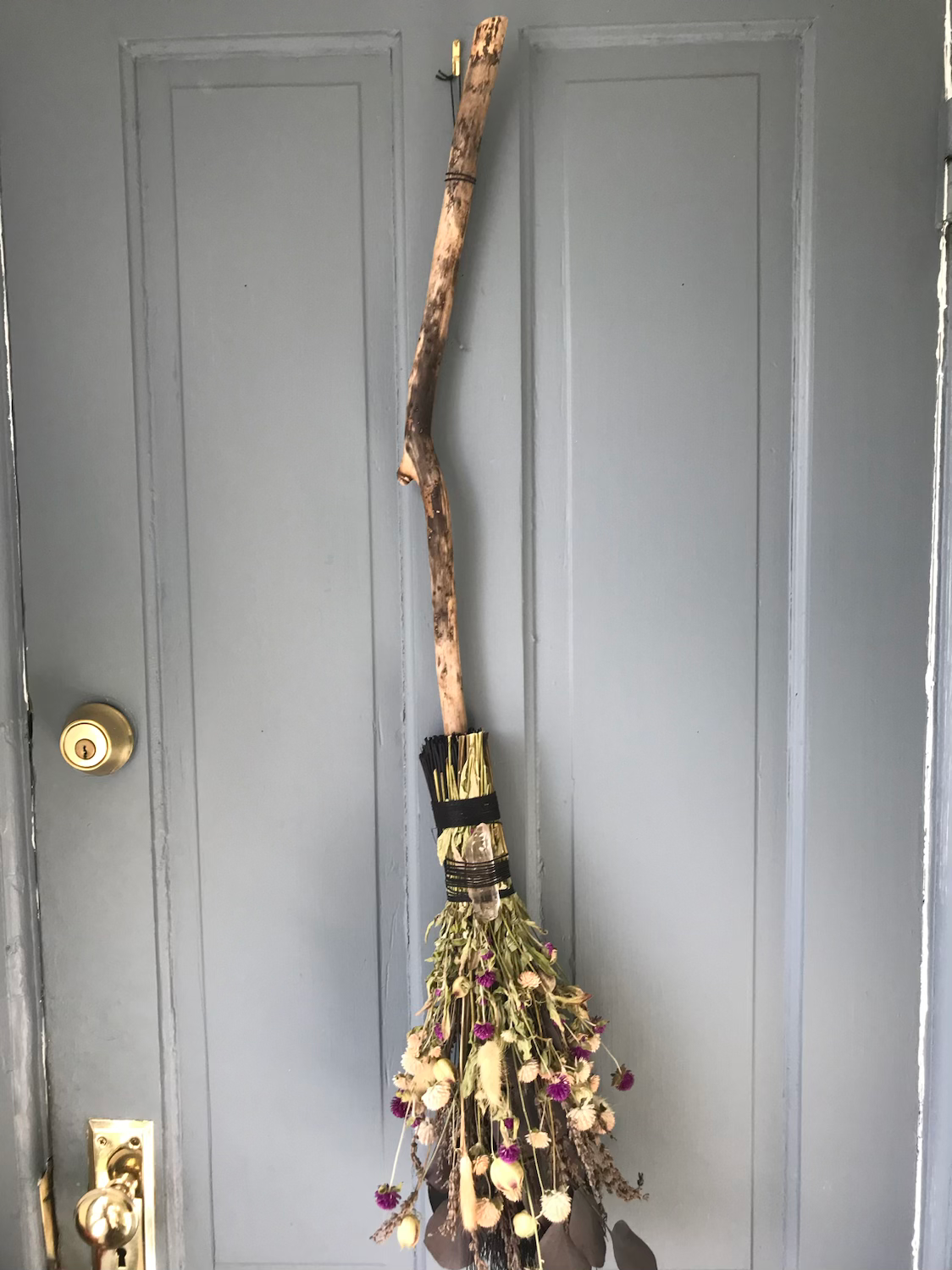 everlasting botanical broom | commission image 3